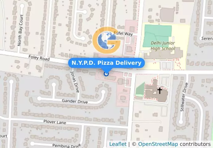 N.Y.P.D. Pizza Delivery