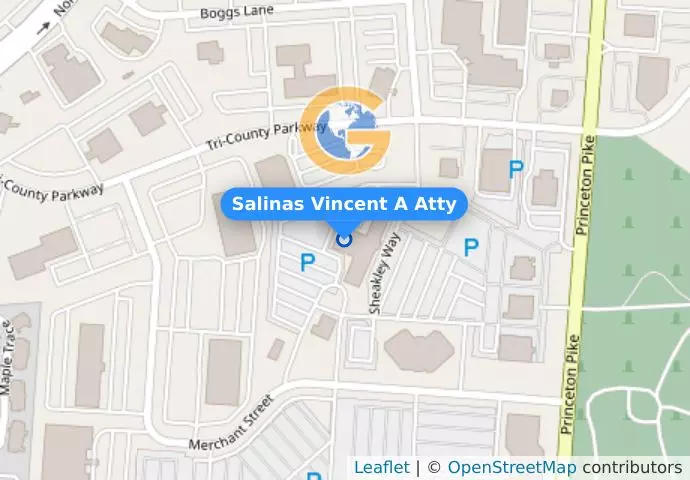 Salinas Vincent A Atty