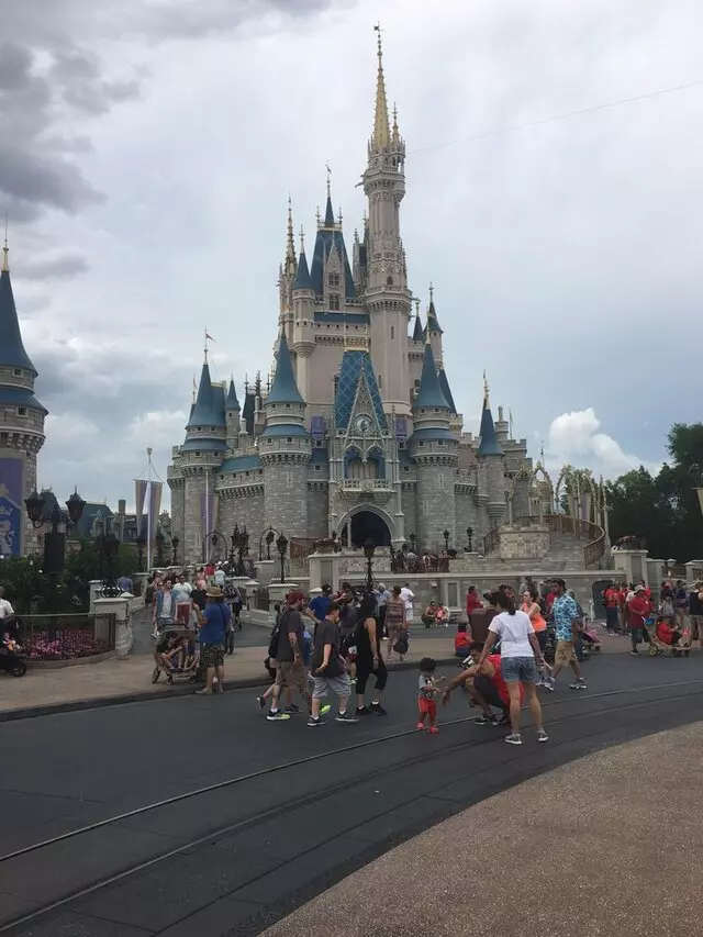 Alpha Travel