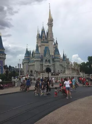 Alpha Travel