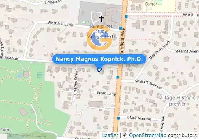 Nancy Magnus Kopnick, Ph.D.