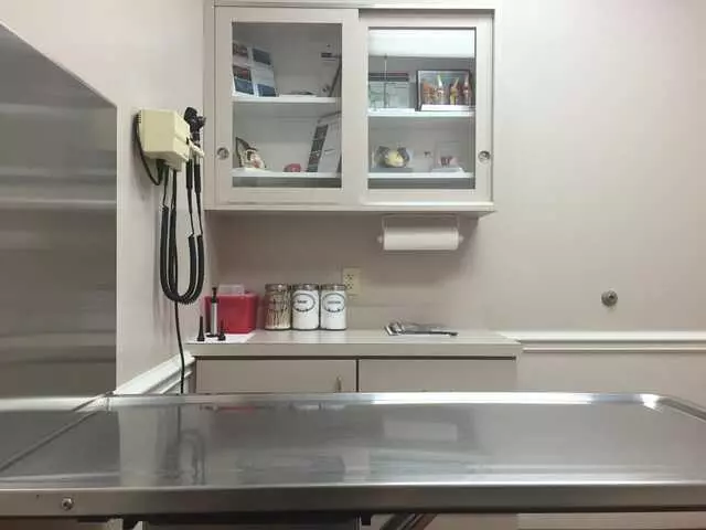 Animal Hospital On Mt Lookout Sq