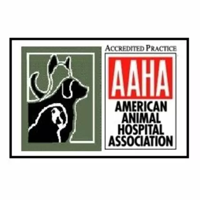 Animal Hospital On Mt Lookout Sq
