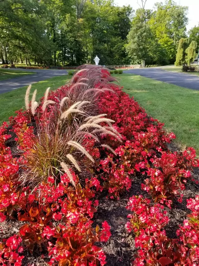 Arlington Memorial Gardens Cemetery