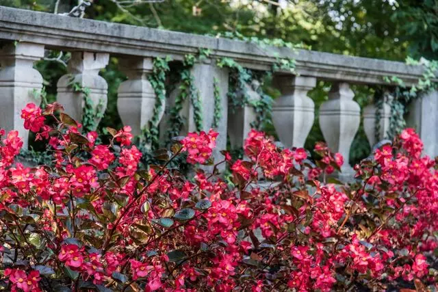 Arlington Memorial Gardens Cemetery