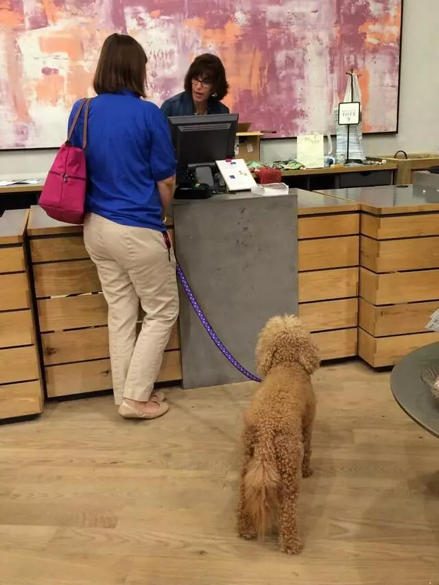 Anthropologie