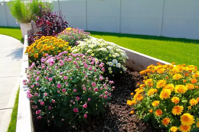 Artis Senior Living of Bridgetown