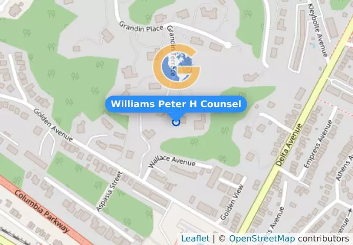 Williams Peter H Counsel