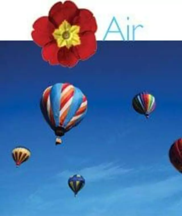 Aerus Electrolux