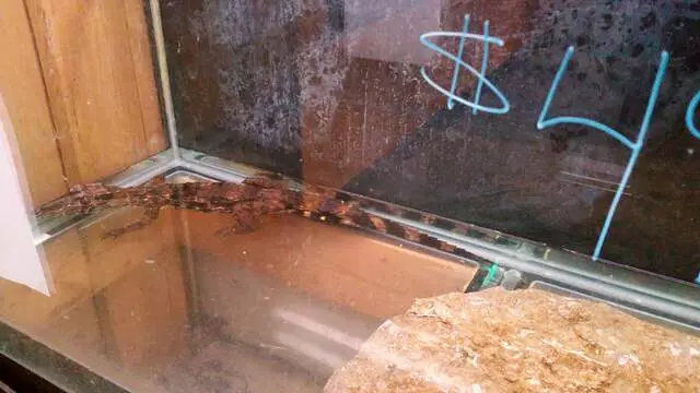 Aquatics & Exotics