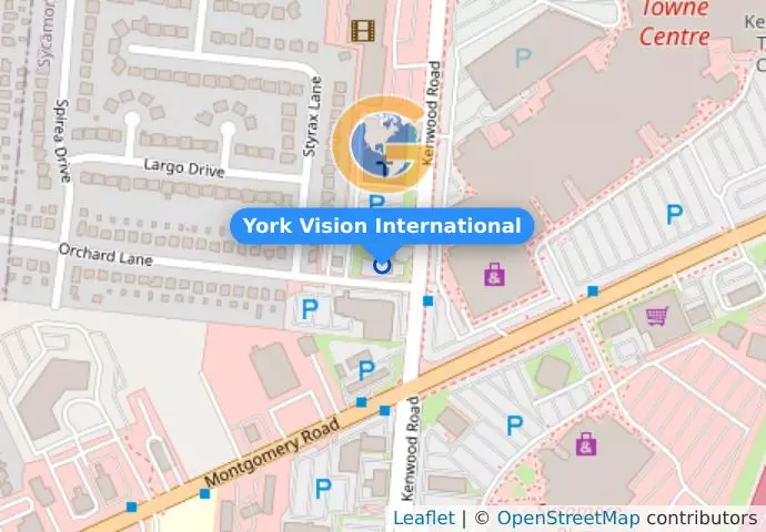York Vision International