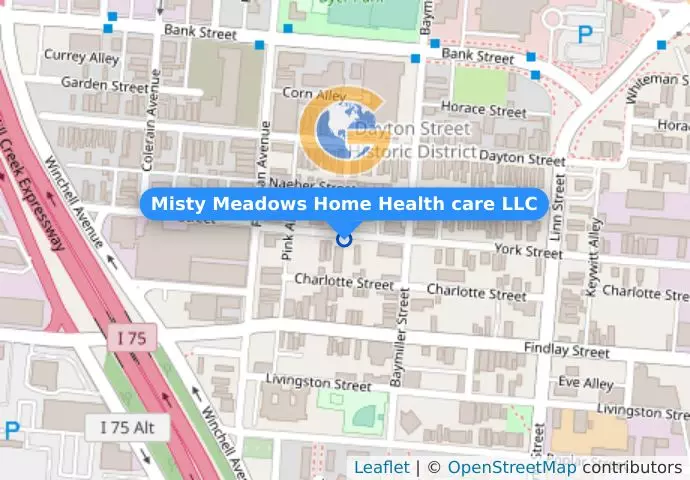 Misty Meadows Home Health care LLC