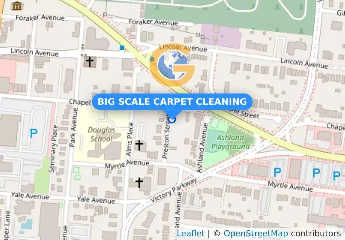 BIG SCALE CARPET CLEANING