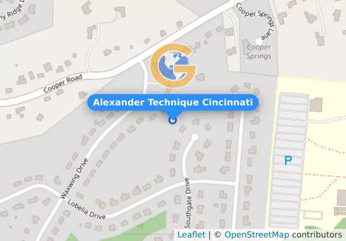 Alexander Technique Cincinnati