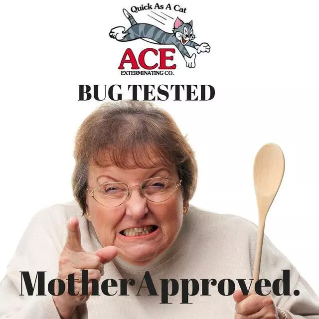Ace Exterminating