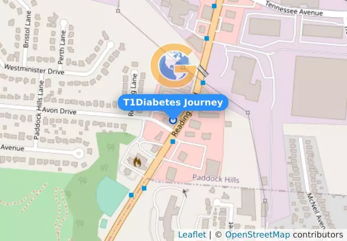 T1Diabetes Journey