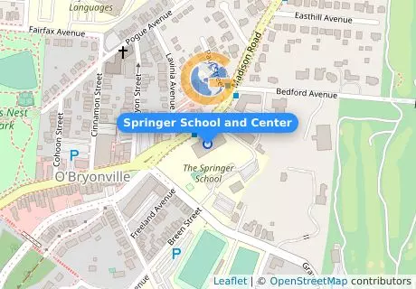 Springer School and Center