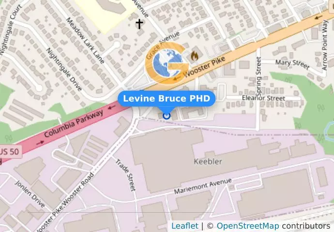 Levine Bruce PHD