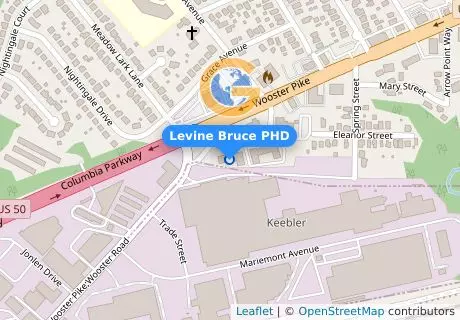 Levine Bruce PHD