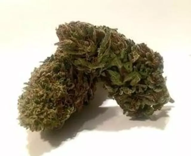 ActionCBDHerbal Farm