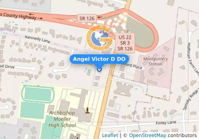 Angel Victor D DO