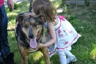 One Soul Pet Training