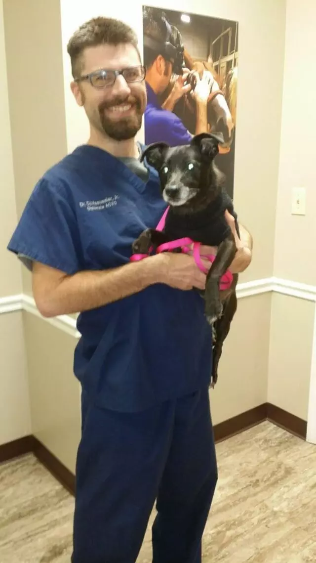 Animal Eye Institute