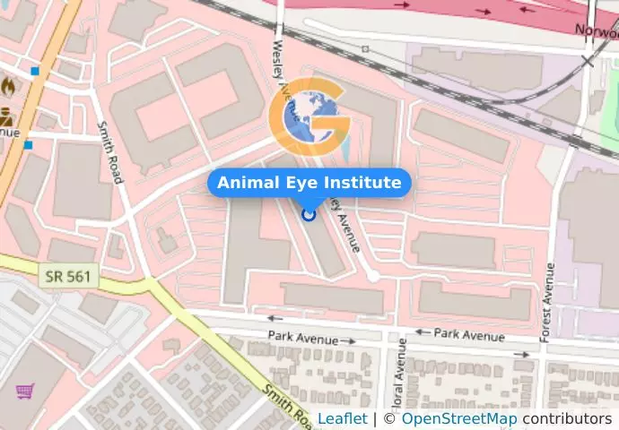 Animal Eye Institute