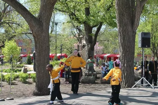 Academy of Kung Fu & Tai Chi