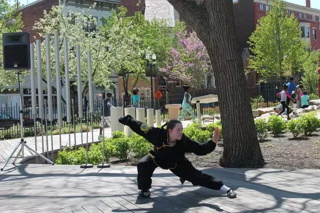 Academy of Kung Fu & Tai Chi