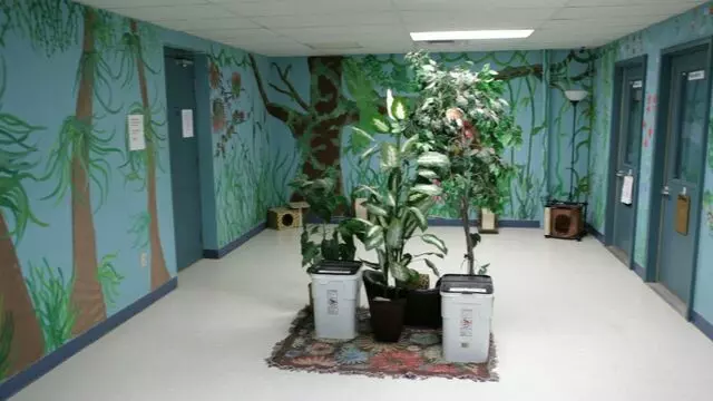 All Creatures Animal Hospital-Anderson