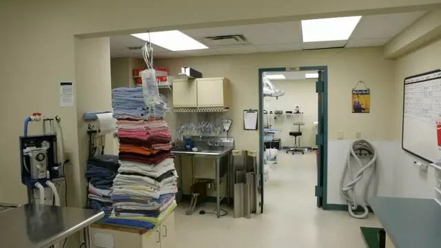 All Creatures Animal Hospital-Anderson