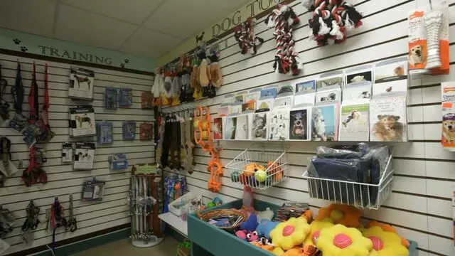 All Creatures Animal Hospital-Anderson