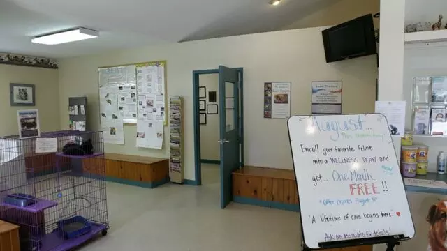 All Creatures Animal Hospital-Anderson