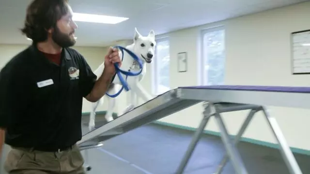 All Creatures Animal Hospital-Anderson
