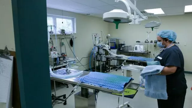 All Creatures Animal Hospital-Anderson