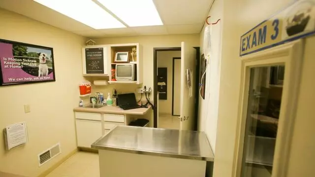 All Creatures Animal Hospital-Anderson