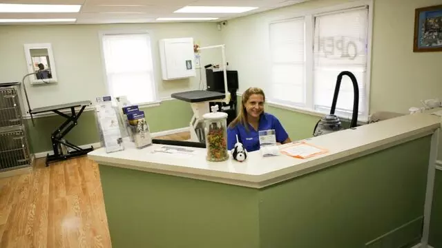 All Creatures Animal Hospital-Anderson