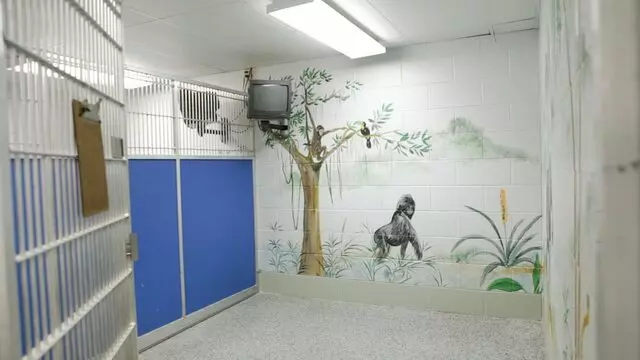 All Creatures Animal Hospital-Anderson