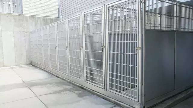 All Creatures Animal Hospital-Anderson