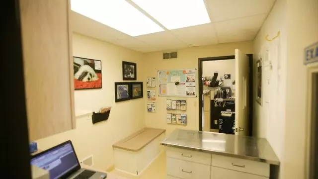 All Creatures Animal Hospital-Anderson