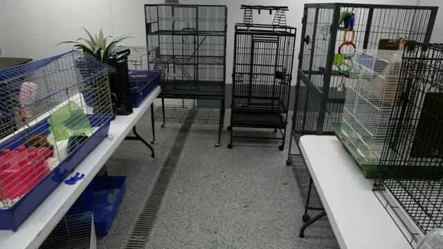 All Creatures Animal Hospital-Anderson