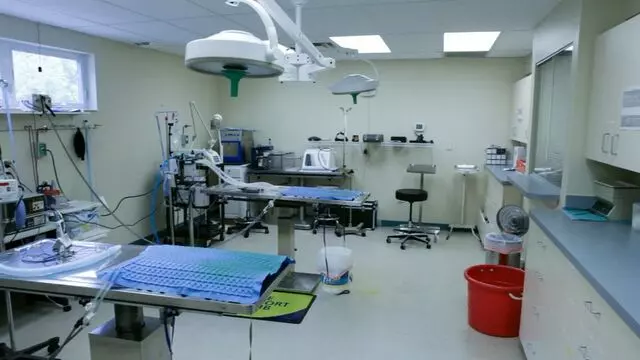 All Creatures Animal Hospital-Anderson