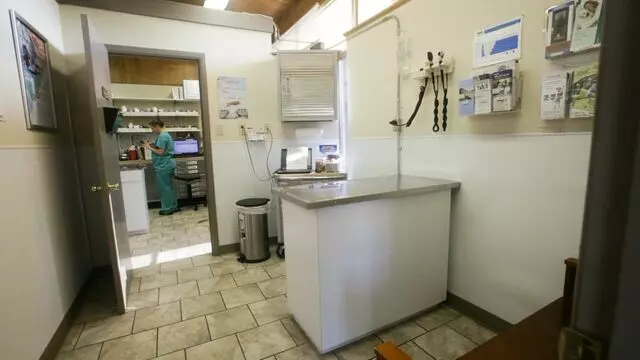 All Creatures Animal Hospital-Anderson
