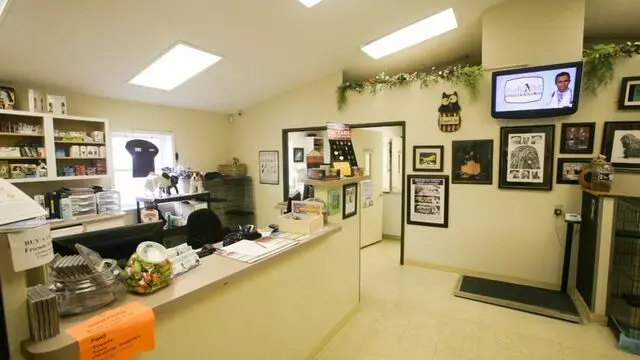 All Creatures Animal Hospital-Anderson