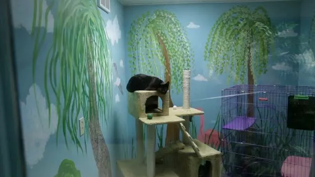 All Creatures Animal Hospital-Anderson