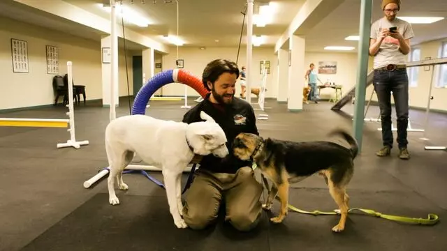 All Creatures Animal Hospital-Anderson