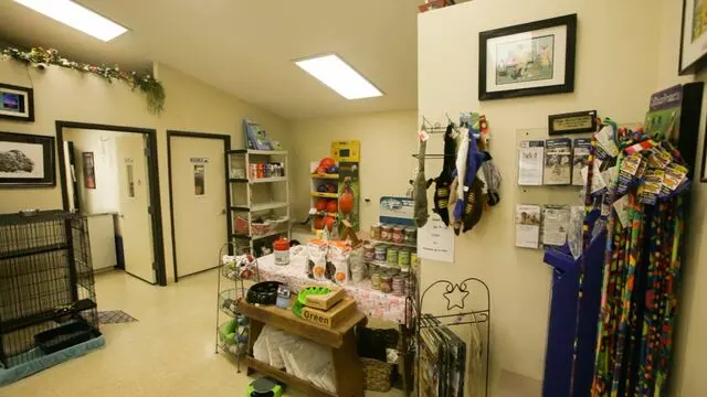 All Creatures Animal Hospital-Anderson
