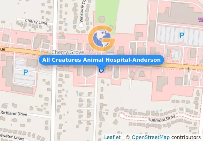 All Creatures Animal Hospital-Anderson