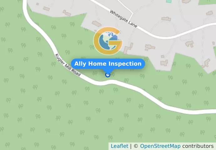 Ally Home Inspection